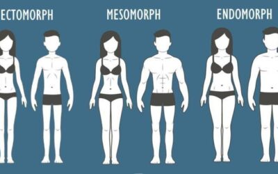 The Three Body Types, Explained